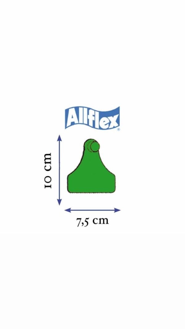MARCA ALLFLEX MAXI FEMMINA VERDE