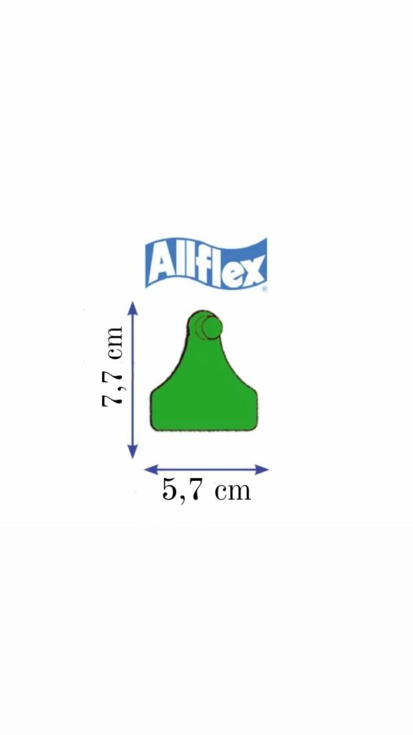 MARCA ALLFLEX SENIOR FEMMINA VERDE