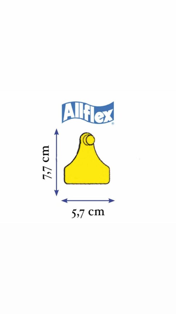 MARCA ALLFLEX SENIOR MASCHIO GIALLO
