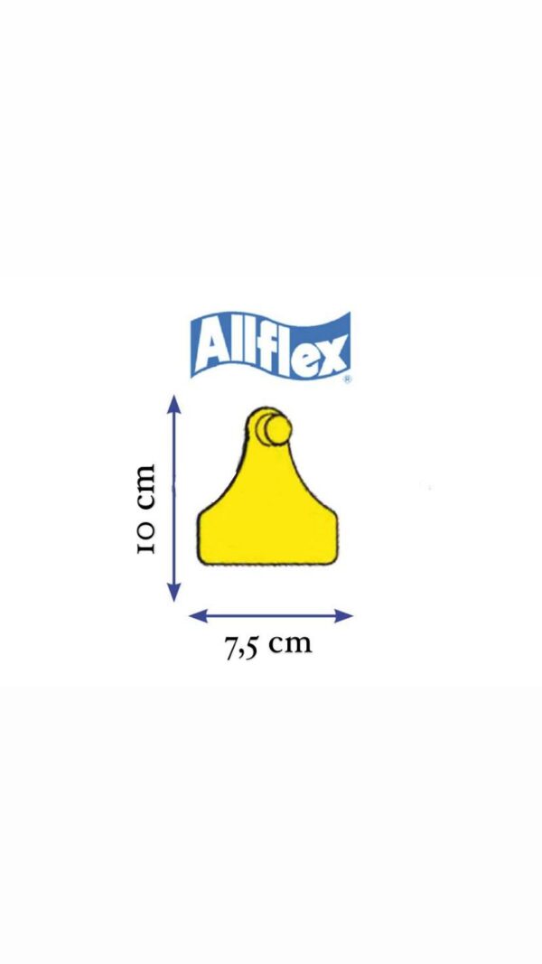 MARCA ALLFLEX MAXI FEMMINA GIALLA