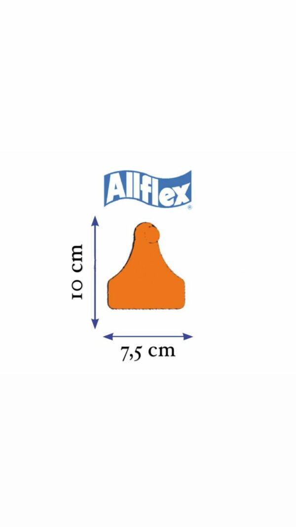 MARCA ALLFLEX MAXI FEMMINA SALMONE