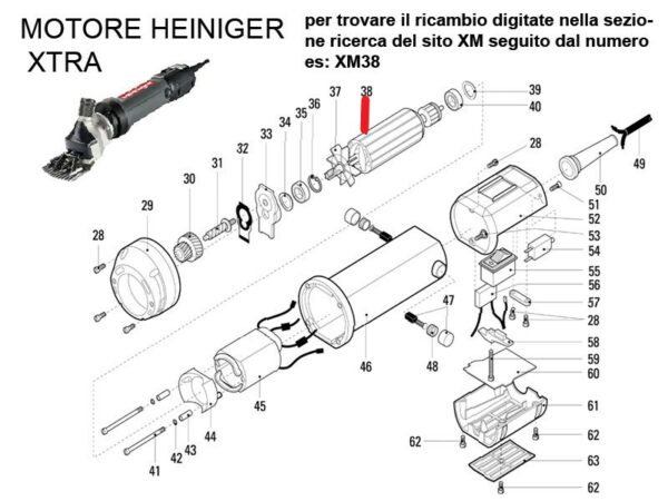 RICAMBIO HEINIG XTRA ROTORE (INDOTTO) 320W FIG. XM38 Cod: ABBHE701-609