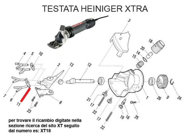 RICAMBIO HEINIG XTRA GUIDA FORCHE LARGA FIG. XT11 Cod: ABBHE717-713