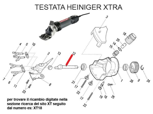 RICAMBIO HEINIG XTRA ALBERINO ECCENTRICO FIG. XT12 Cod: ABBHE717-715