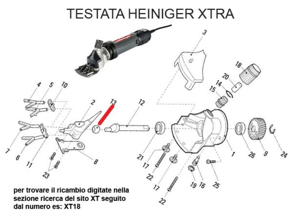RICAMBIO HEINIG XTRA SFERA ECCENTRICA FIG. XT13 Cod: ABBHE721-106B