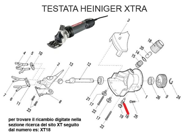 RICAMBIO HEINIG XTRA VITE DI FULCRO FIG. XT16 Cod: ABBHE717-719