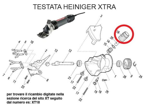 RICAMBIO HEINIG XTRA POMOLO DI PRESSIONE FIG. XT18 Cod: ABBHE721-114B