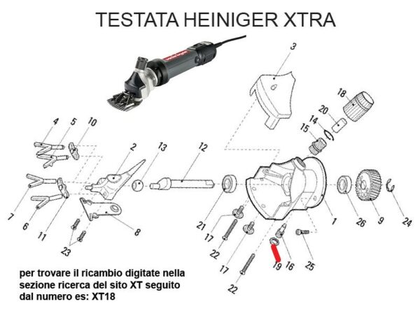 RICAMBIO HEINIG XTRA DADO DI FERMO FIG. XT19 Cod: ABBHE721-103B