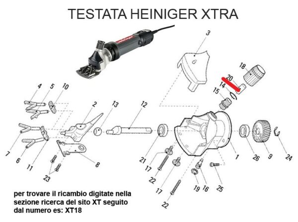 HEINIGER XTRA TESTATA OVINI. RICAMBIO HEINIG XTRA BOCCOLA SPINGI ASTA COMPRES FIG. XT20 Cod: ABBHE717-723