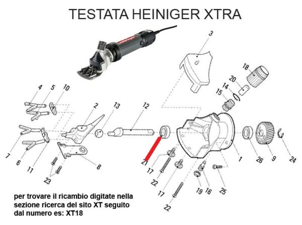 HEINIGER XTRA TESTATA OVINI. RICAMBIO HEINIG XTRA CUSCINETTO 608 2RS FIG. XT21 Cod: ABBHE717-725