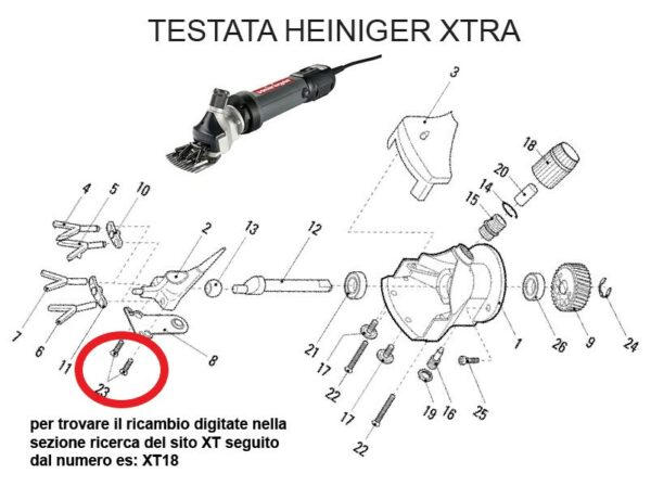 RICAMBIO HEINIG XTRA VITE FISSA MOLLA RANA 4X8 FIG. XT23 Cod: ABBHE717-727