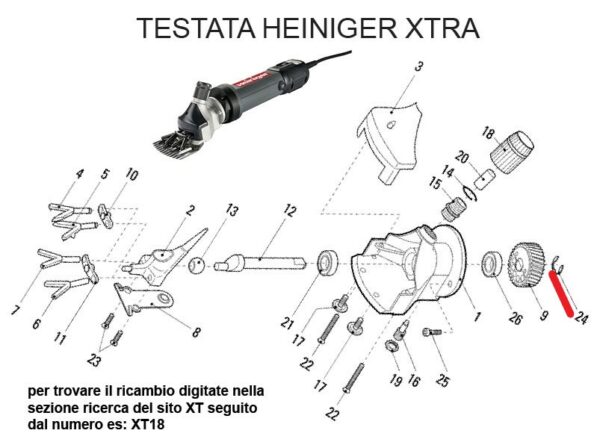 RICAMBIO HEINIG XTRA CLIPS FIG. XT24 Cod: ABBHE706-524