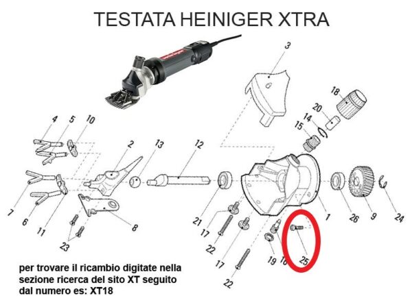RICAMBIO HEINIG XTRA VITE TESTA MOTORE FIG. XM25 Cod: ABBHE706-523
