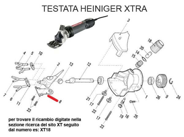 RICAMBIO HEINIG XTRA MOLLA RANA FIG. XT8 Cod: ABBHE717-709