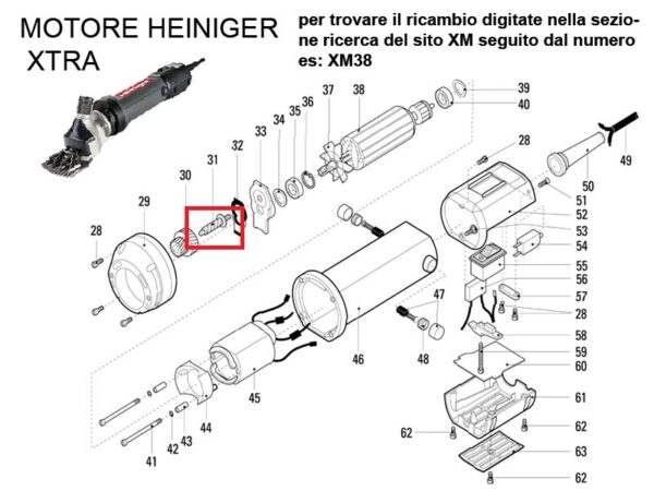 RICAMBIO HEINIG XTRA ALBER PIVOT INGRANAGGIO FIG. XM31